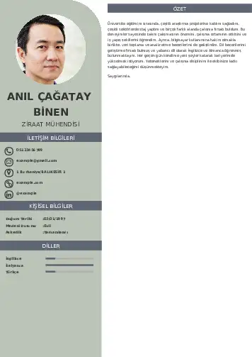 Ziraat Mühendisi Cv Örnekleri cv indir